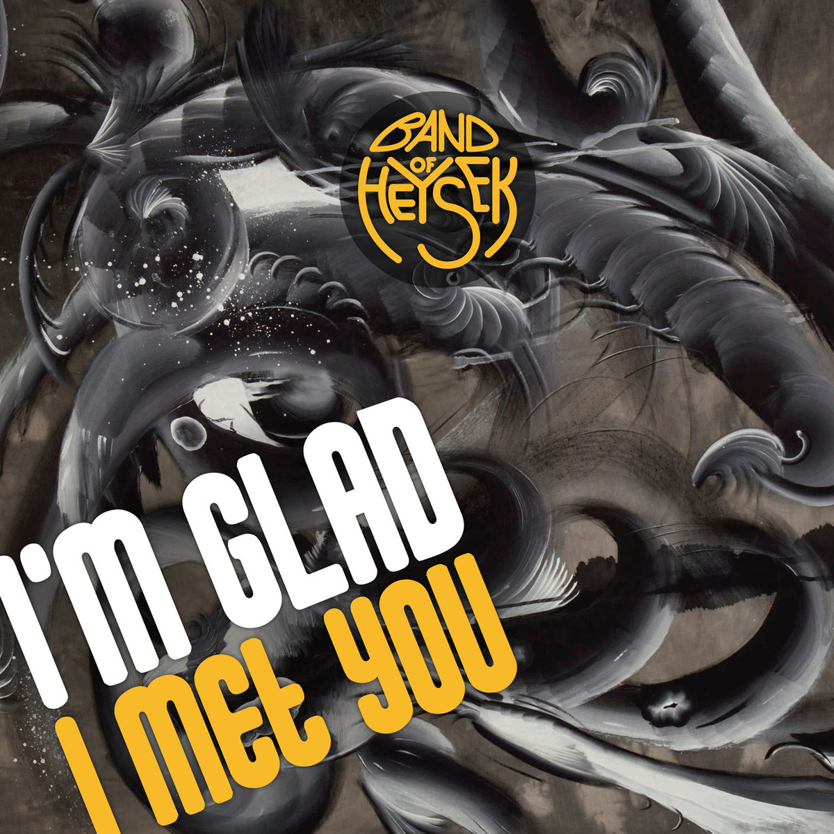 Album cover of I'm Glad I Met You