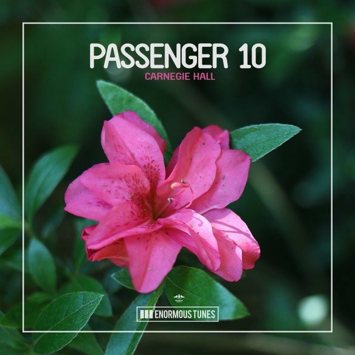 Album cover of Carnegie Hall