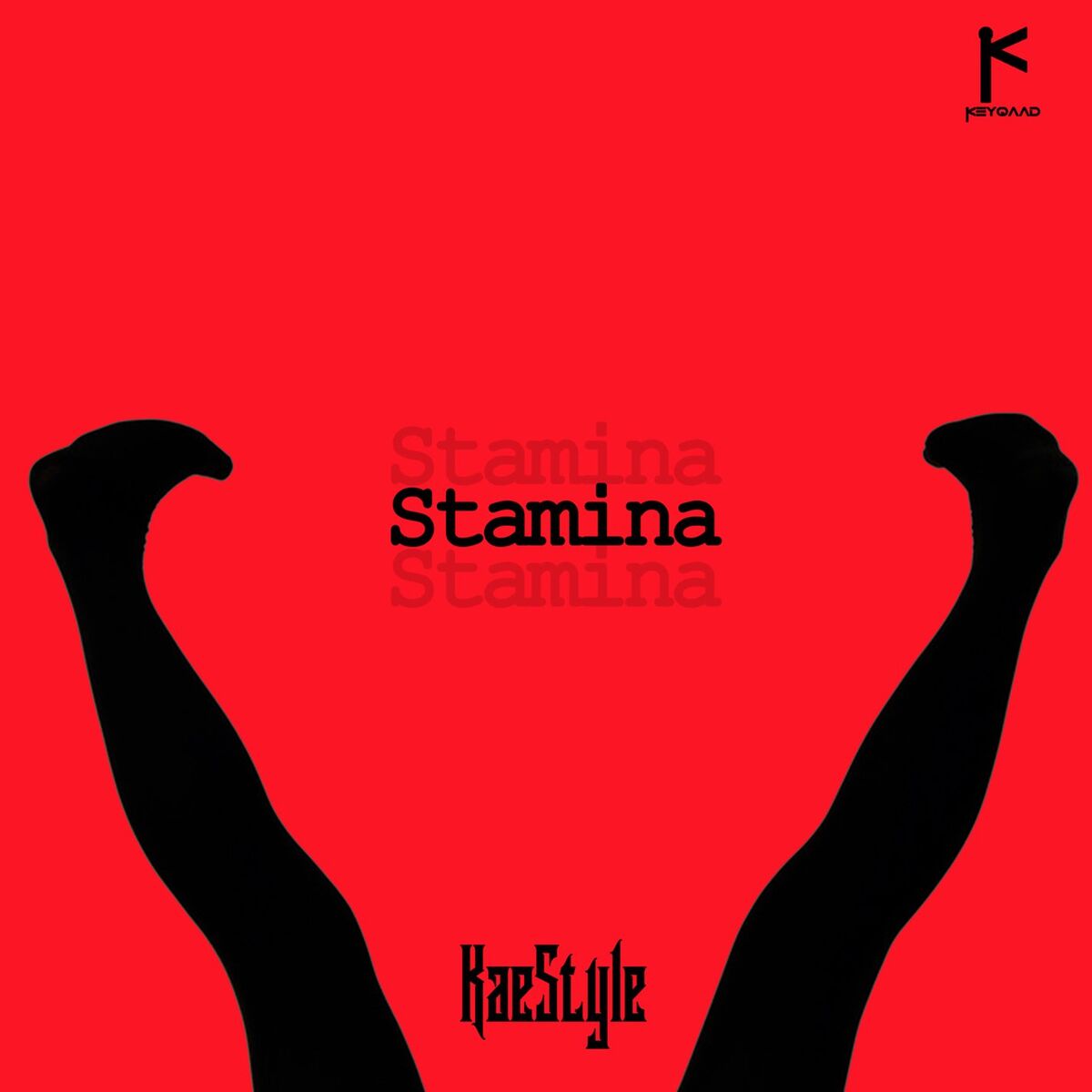 Album cover of Stamina