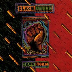 Cover of Iron Storm