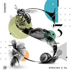 Cover of Just Move