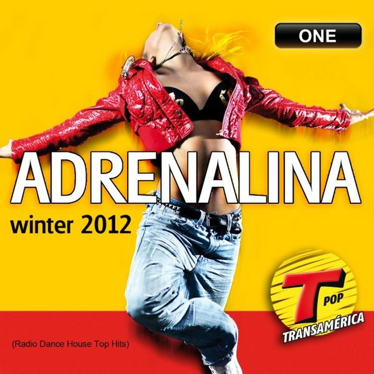 Album cover of Adrenalina Winter 2012 Transamérica Fm - One (Radio Dance House Top Hits)