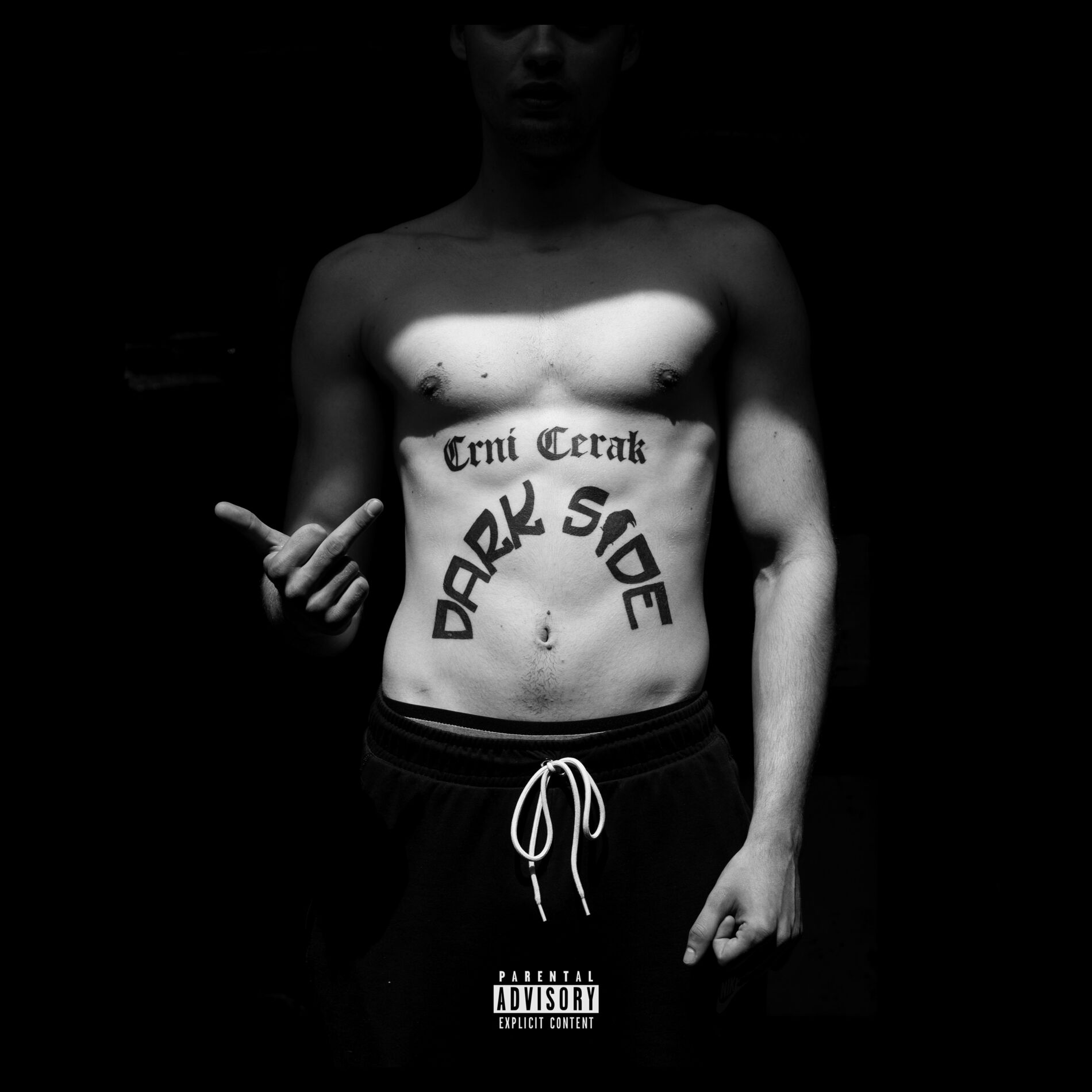 Album cover of Dark Side
