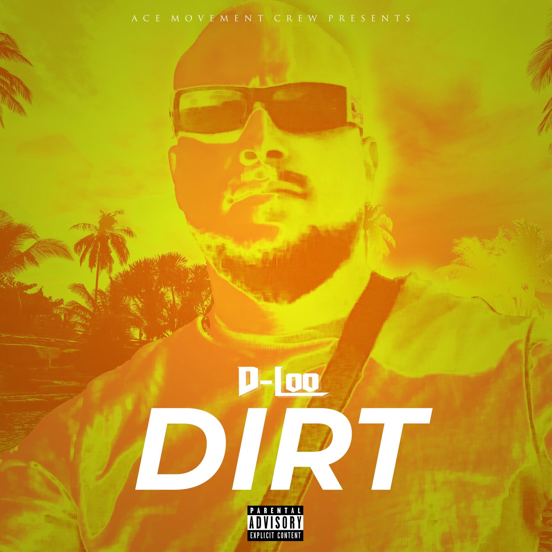 Album cover of DIRT