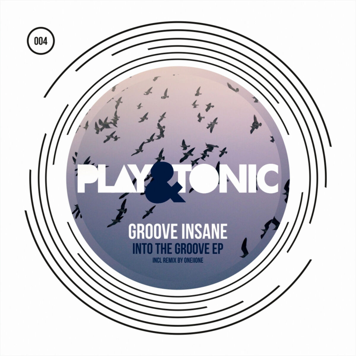 Album cover of Into The Groove