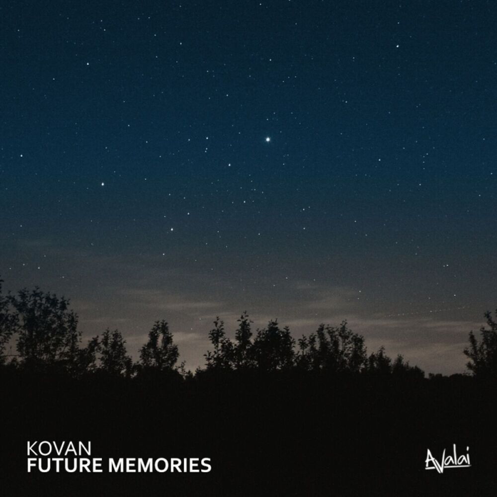 Picture of Future Memories