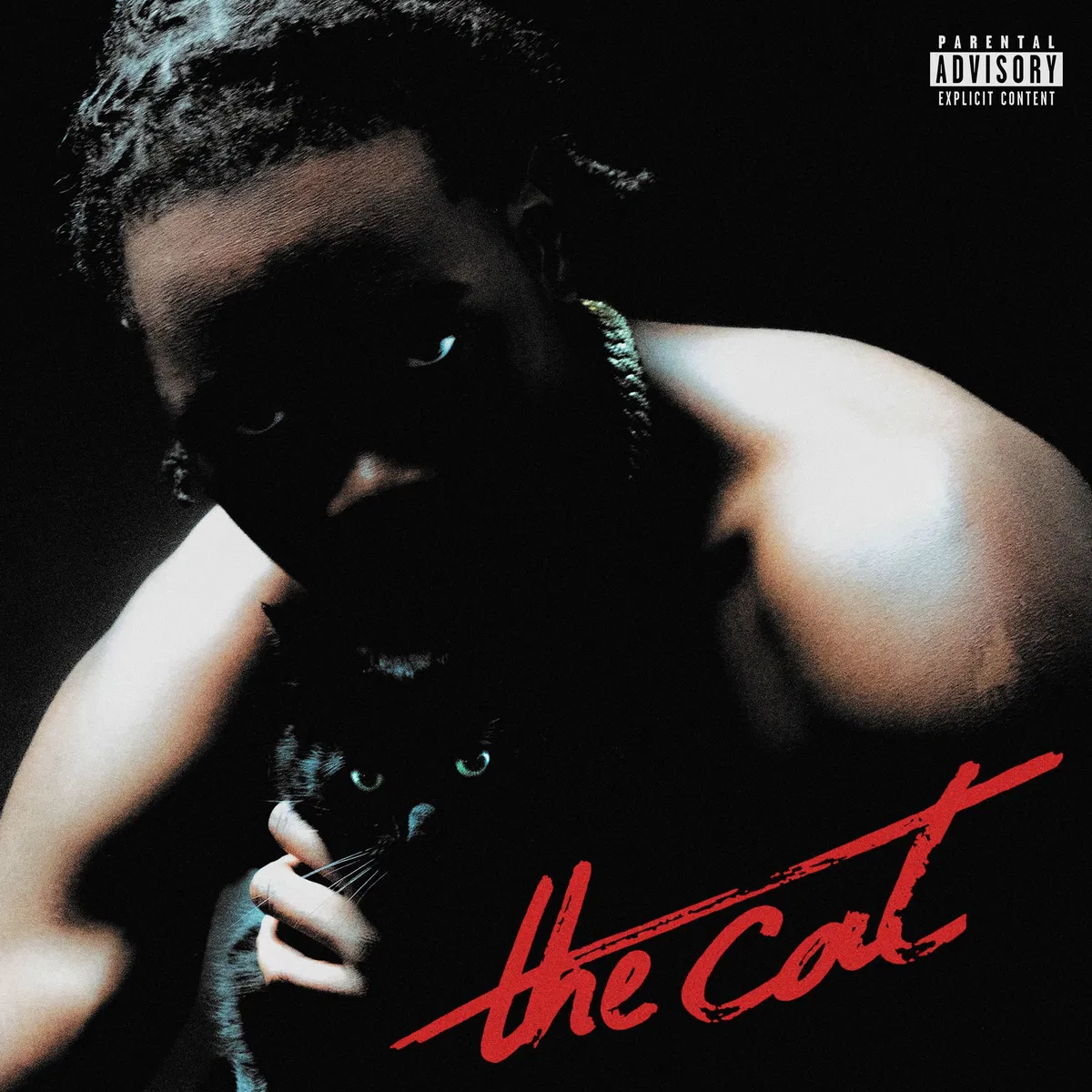 The cat, Nono La Grinta