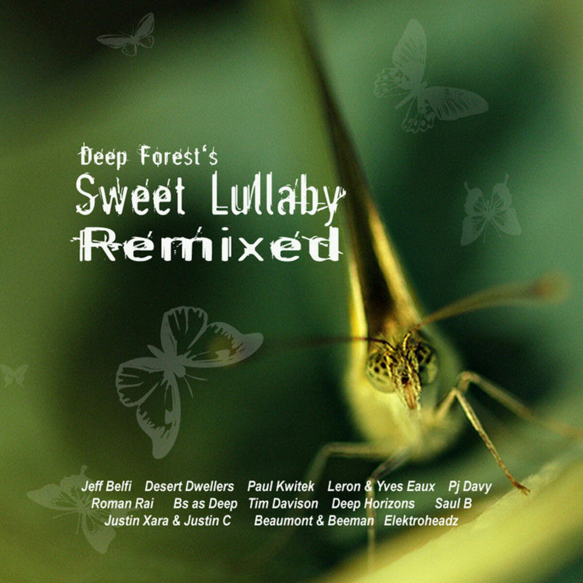 Album cover of Sweet Lullaby