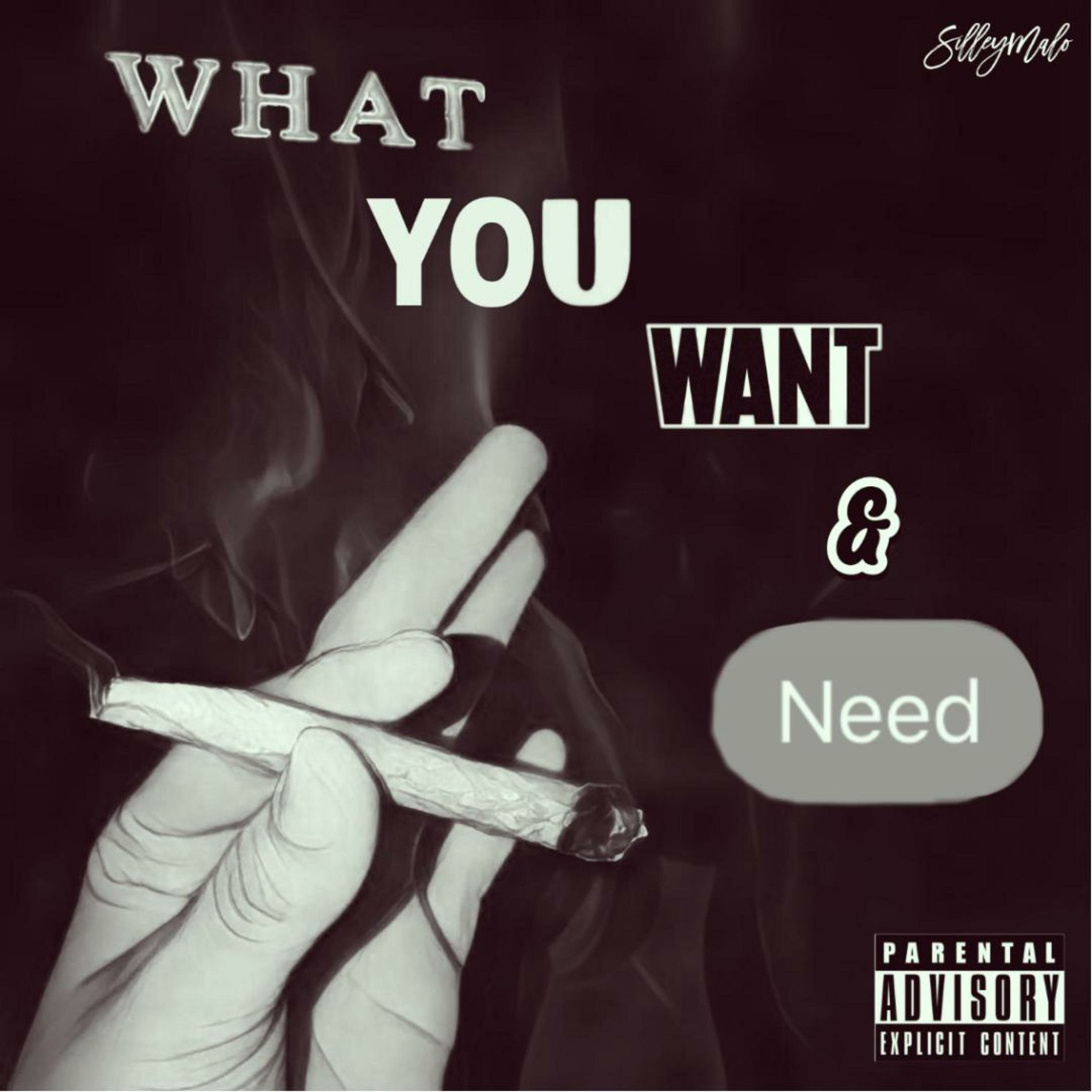 what you wanna get smoked cigarette Silley - What You Want & Need