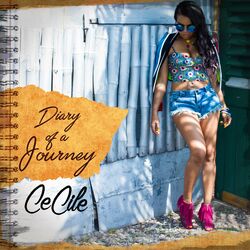 Cover of Diary of a Journey