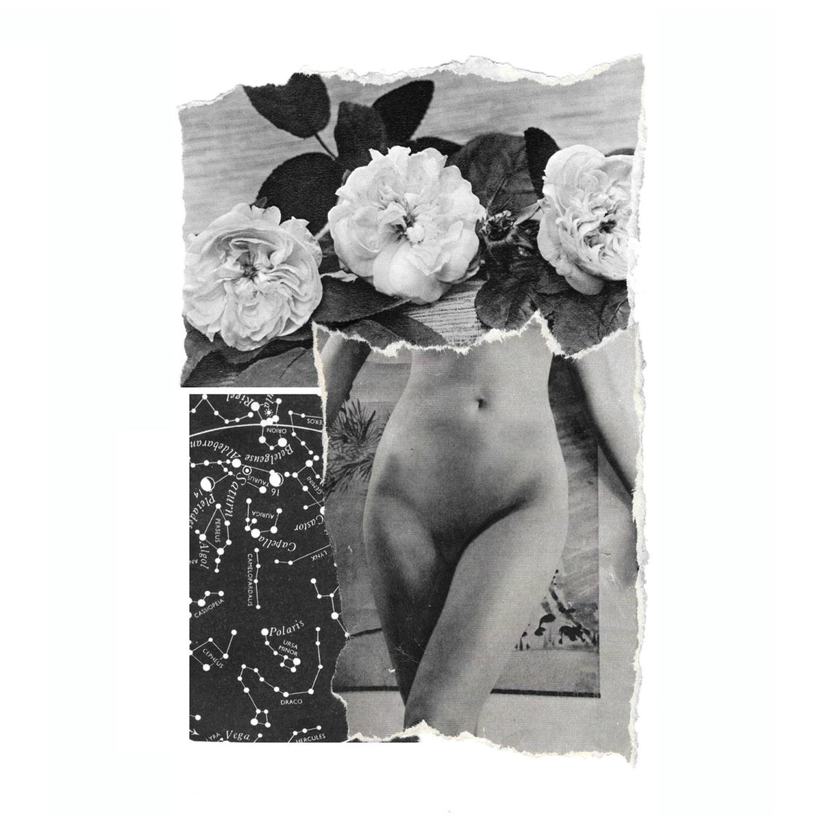 Album picture of Alabaster Chamber