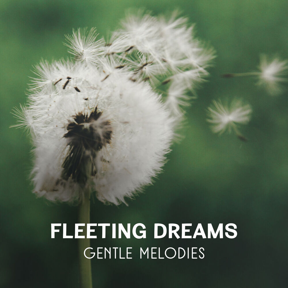 Picture of Fleeting Dreams – Gentle Melodies for Deep Relaxation, Soothing Music to Reach Inner Peace, Calm Falling Asleep