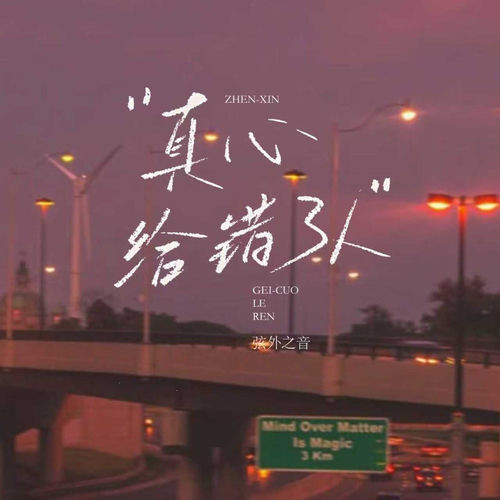 真心给错了人