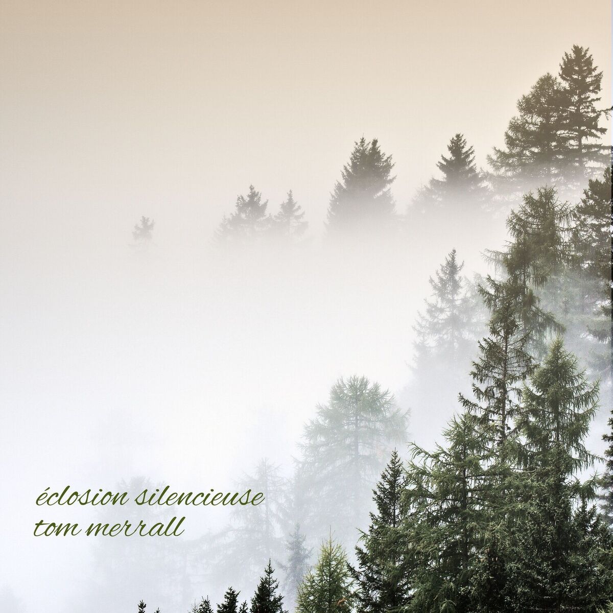 Album cover of Éclosion Silencieuse