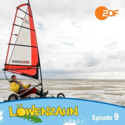 Cover of Episode 09: Sos im Wattenmeer (Das Original Hörspiel zur TV-Serie)