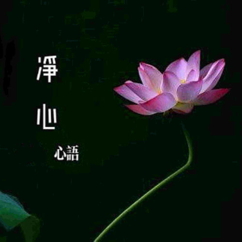 净心