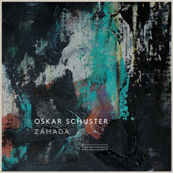 Cover of Záhada