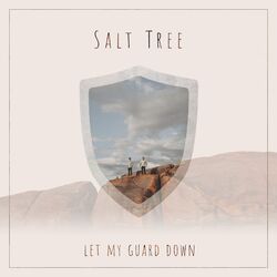 Let My Guard Down