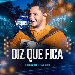 Cover of Diz Que Fica