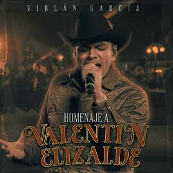 Cover of Homenaje a Valentín Elizalde (En Vivo)