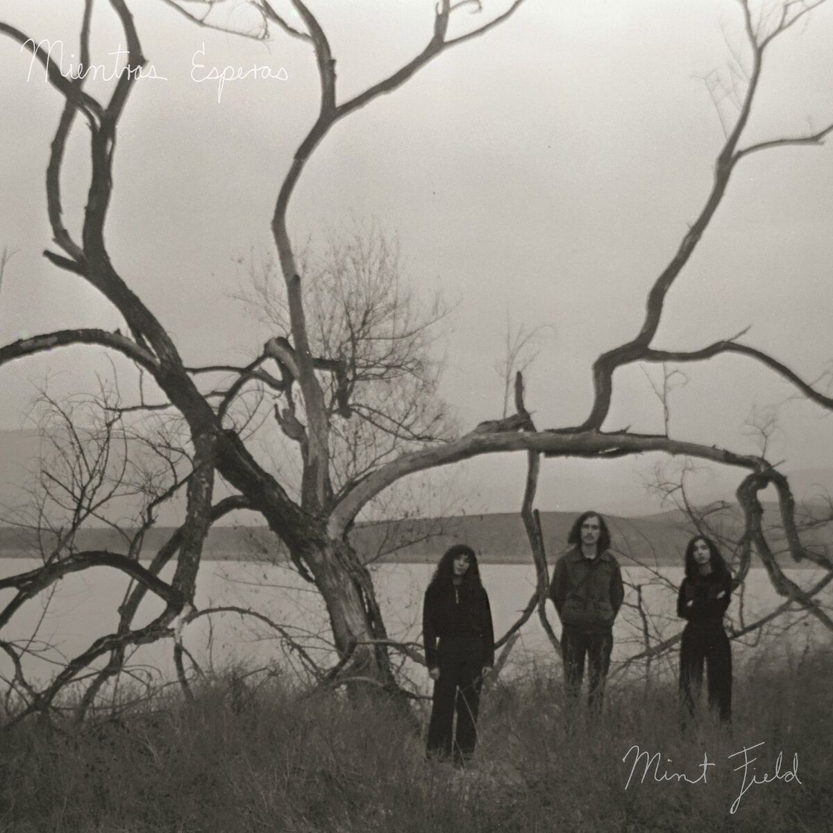 Album cover of Mientras Esperas