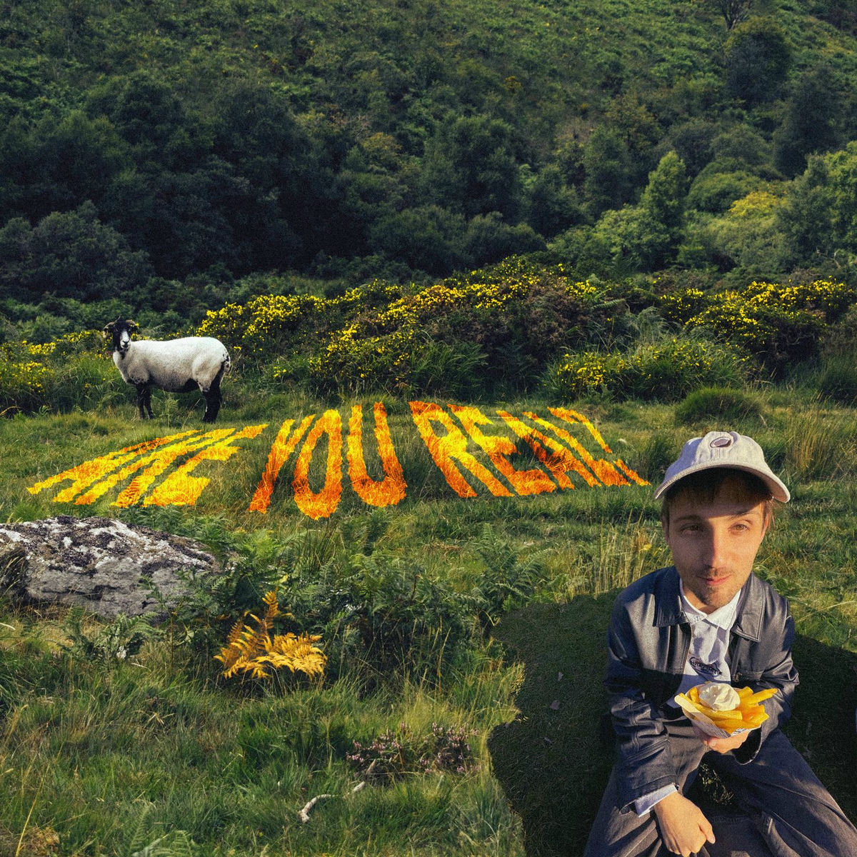 Album cover of Are You Real