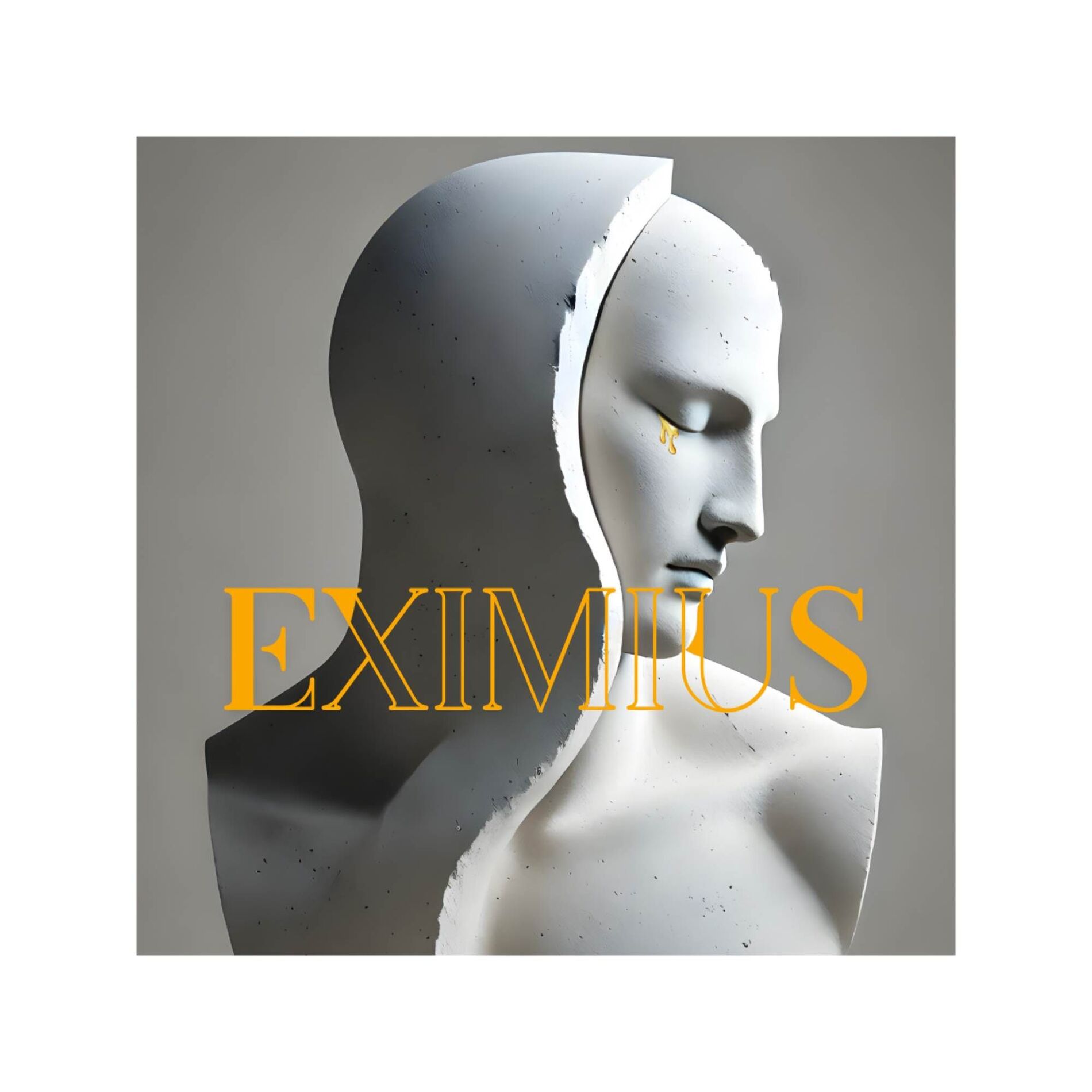 Album cover of Eximius