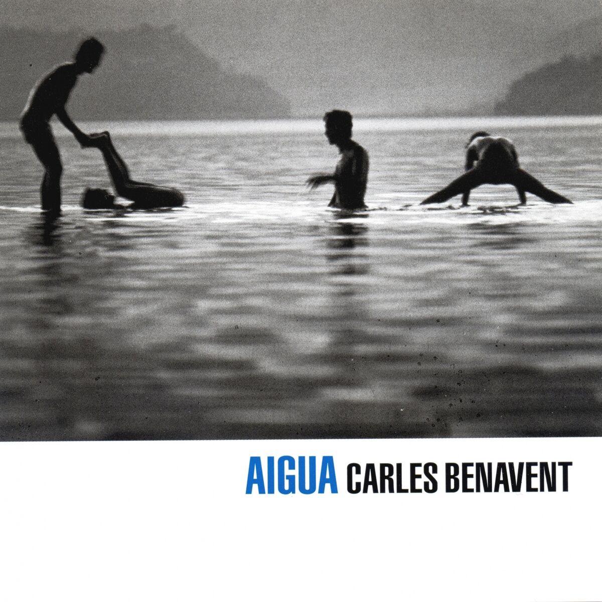 Album cover of Aigua