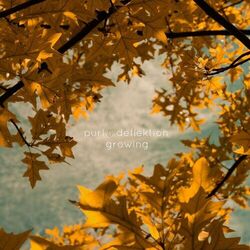 Cover of Growing