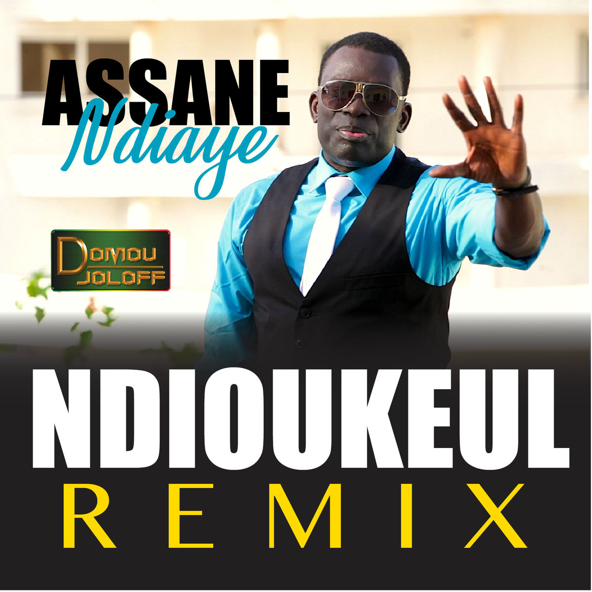 Album cover of Ndioukeul (Remix)