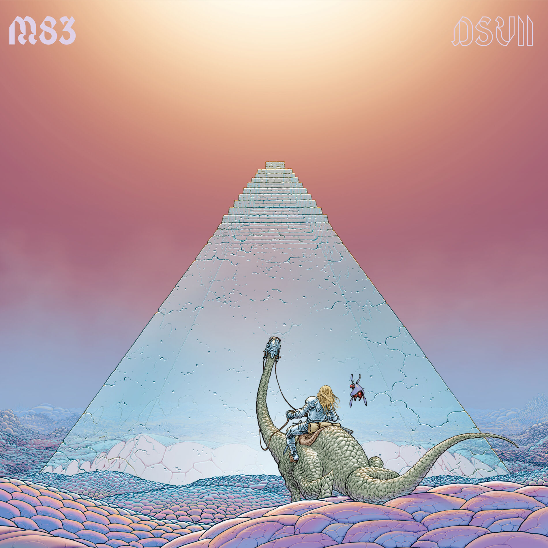 Album cover of DSVII