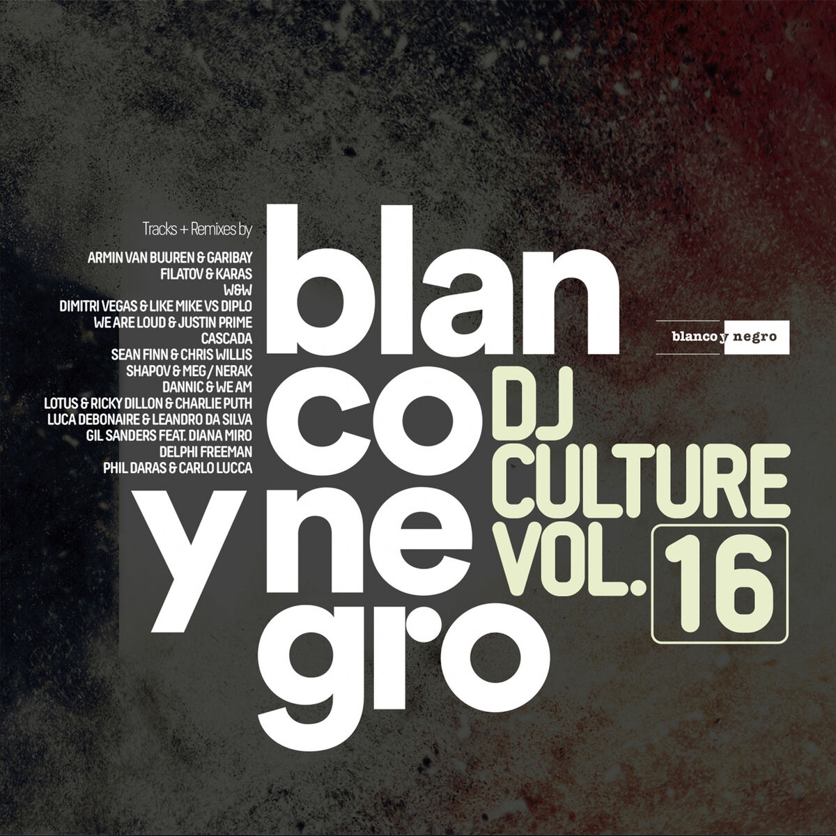 Album cover of Blanco Y Negro DJ Culture, Vol. 16