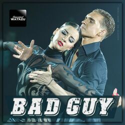 Cover of The Bad Guy ChaCha