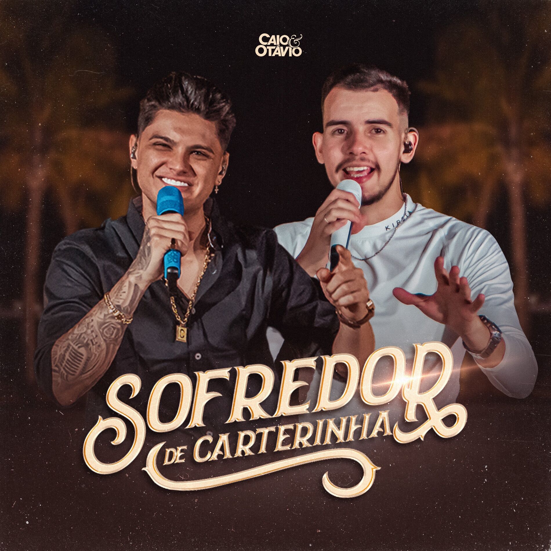 Album cover of Sofredor de Carteirinha