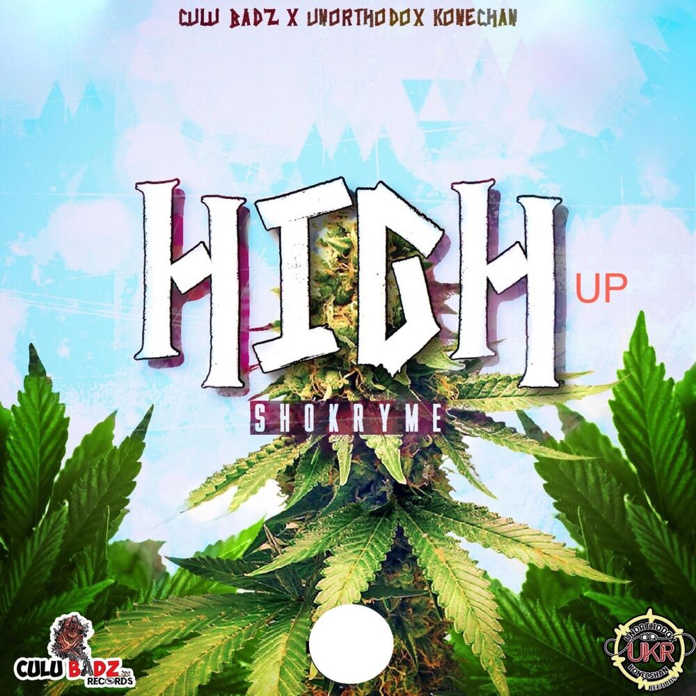 Picture of High Up