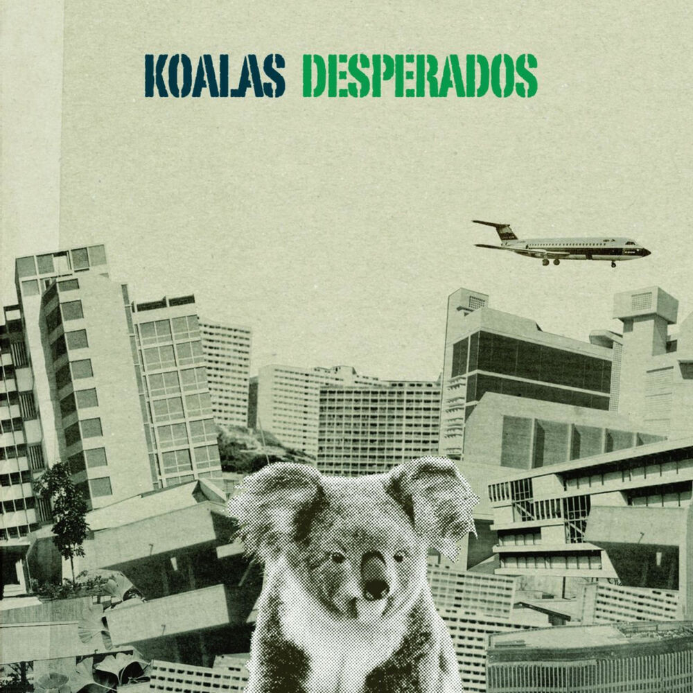 Picture of Koalas Desperados