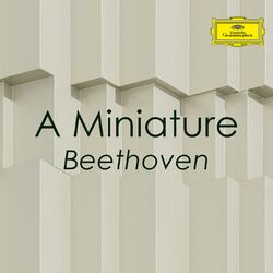 Cover of A Miniature - Beethoven