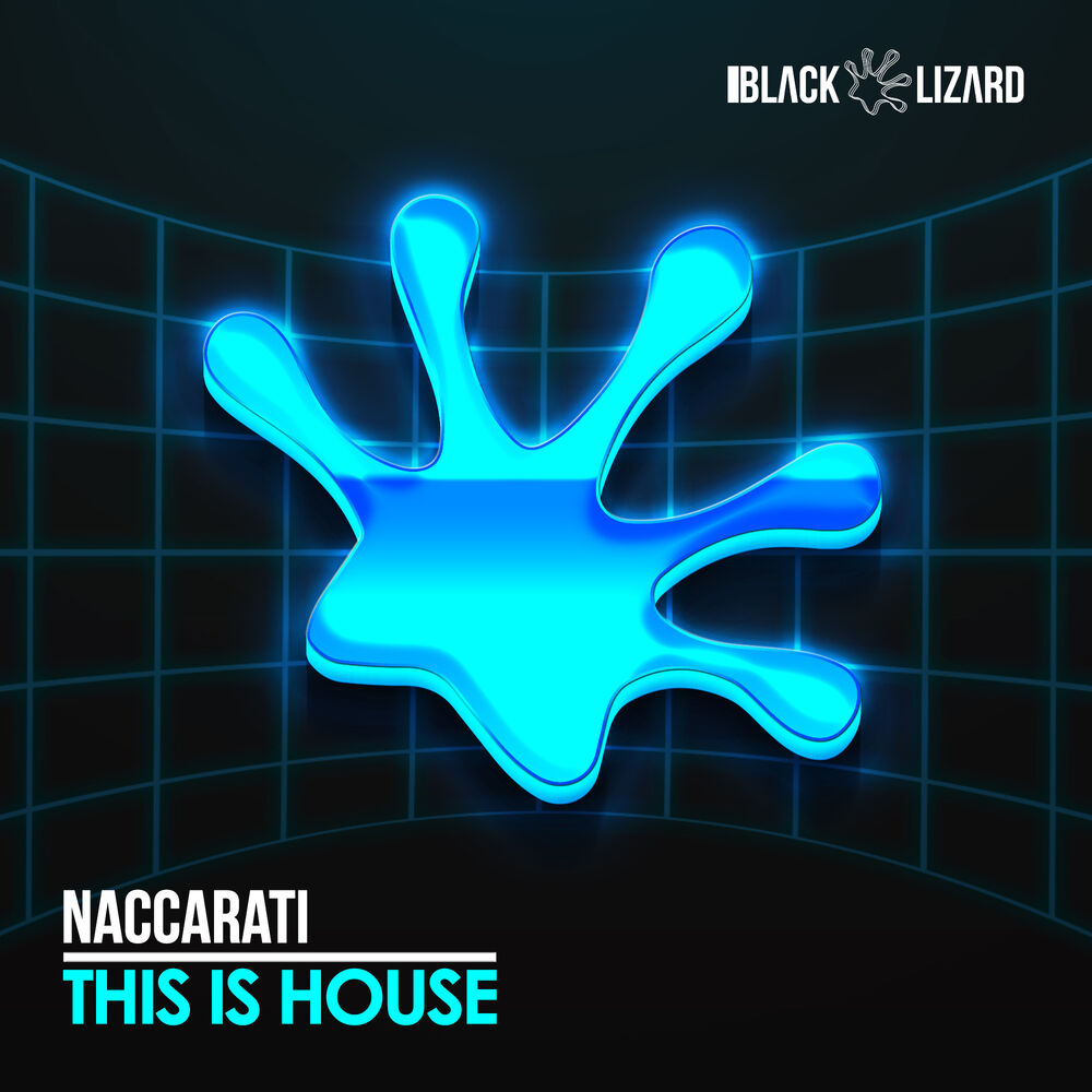 Picture of This is House (Radio Edit)