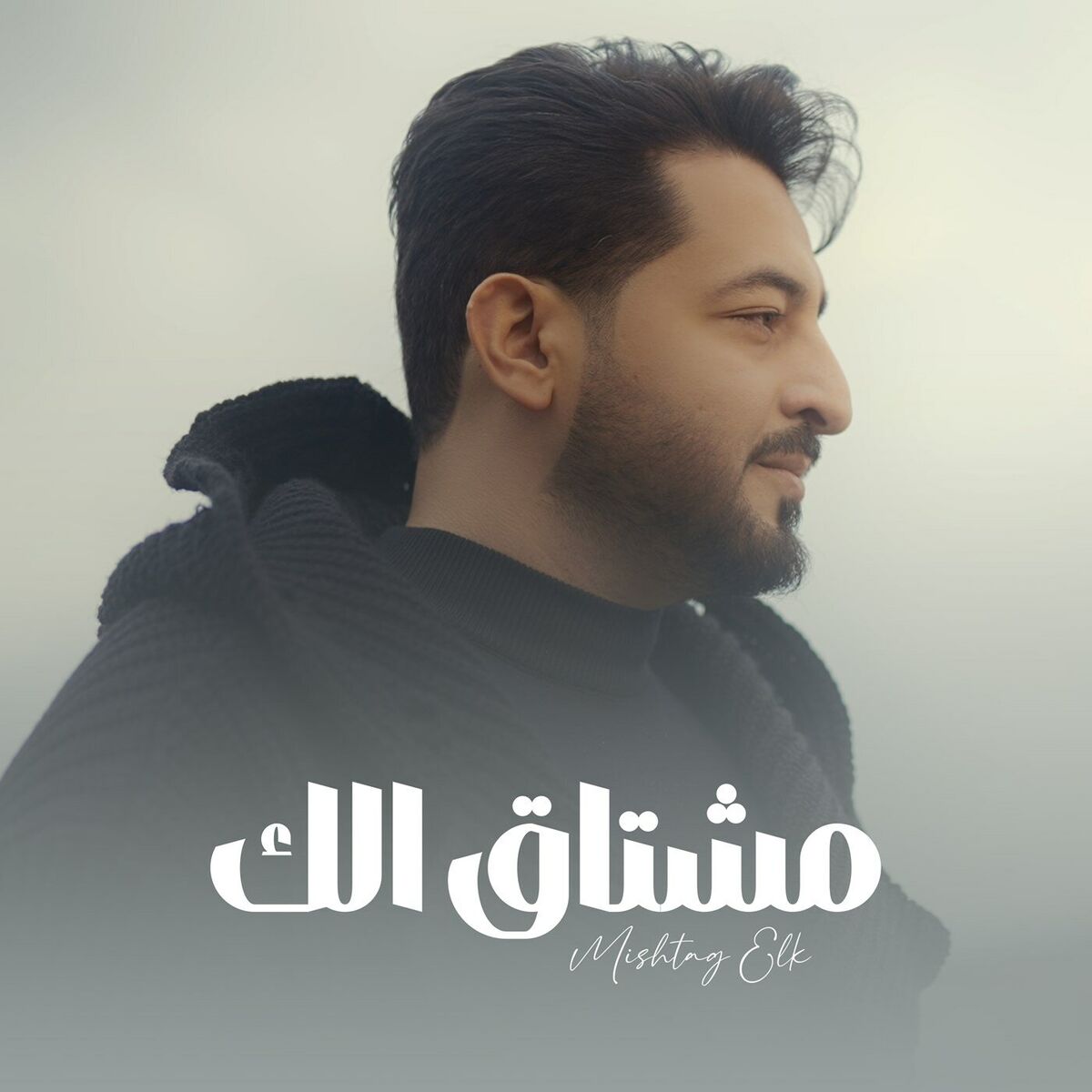 Album cover of Mishtag Elk