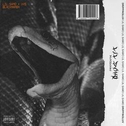Cover of Black Mamba