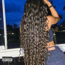 Cover of Preta do Cabelo Cacheado