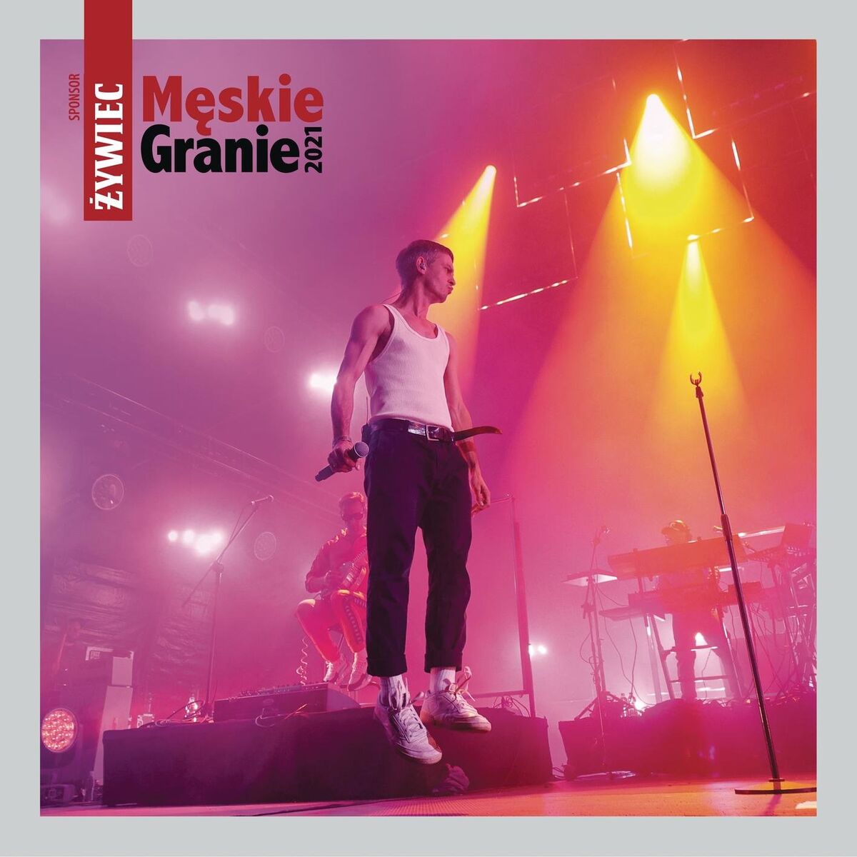 Album cover of Małgośka (feat. Daria Zawiałow & Dawid Podsiadło)
