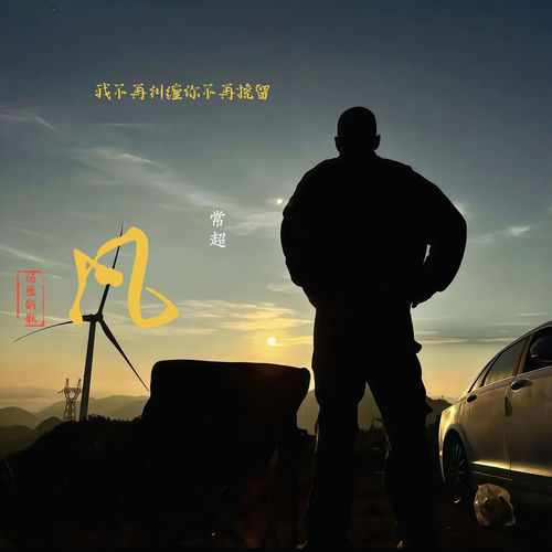 我不再纠缠你不再挽留