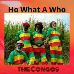 Cover of Ho What A Who