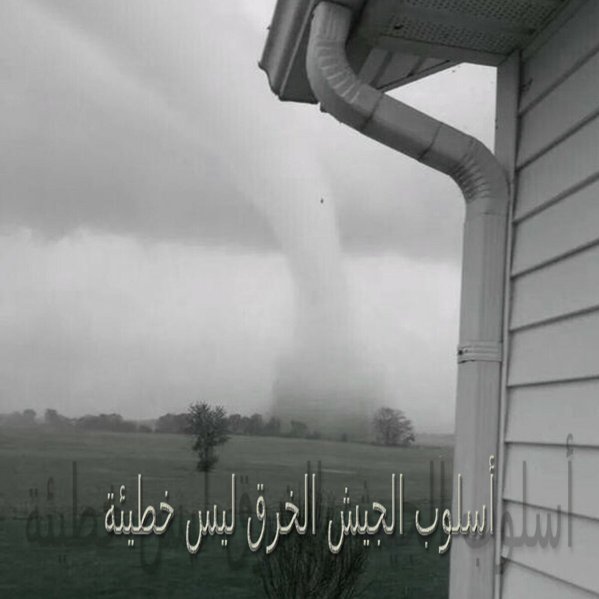 Album cover of army_mov