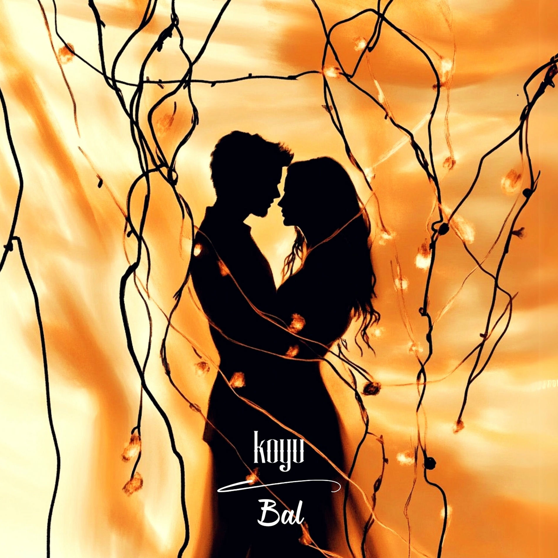 Album cover of Bal