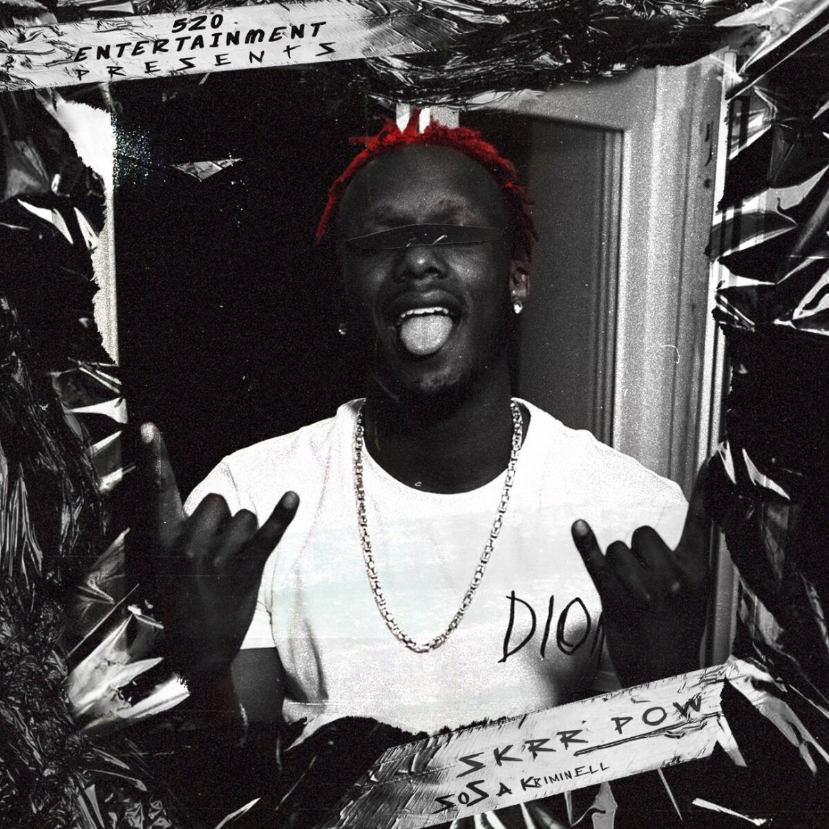 Album cover of Skrr Pow
