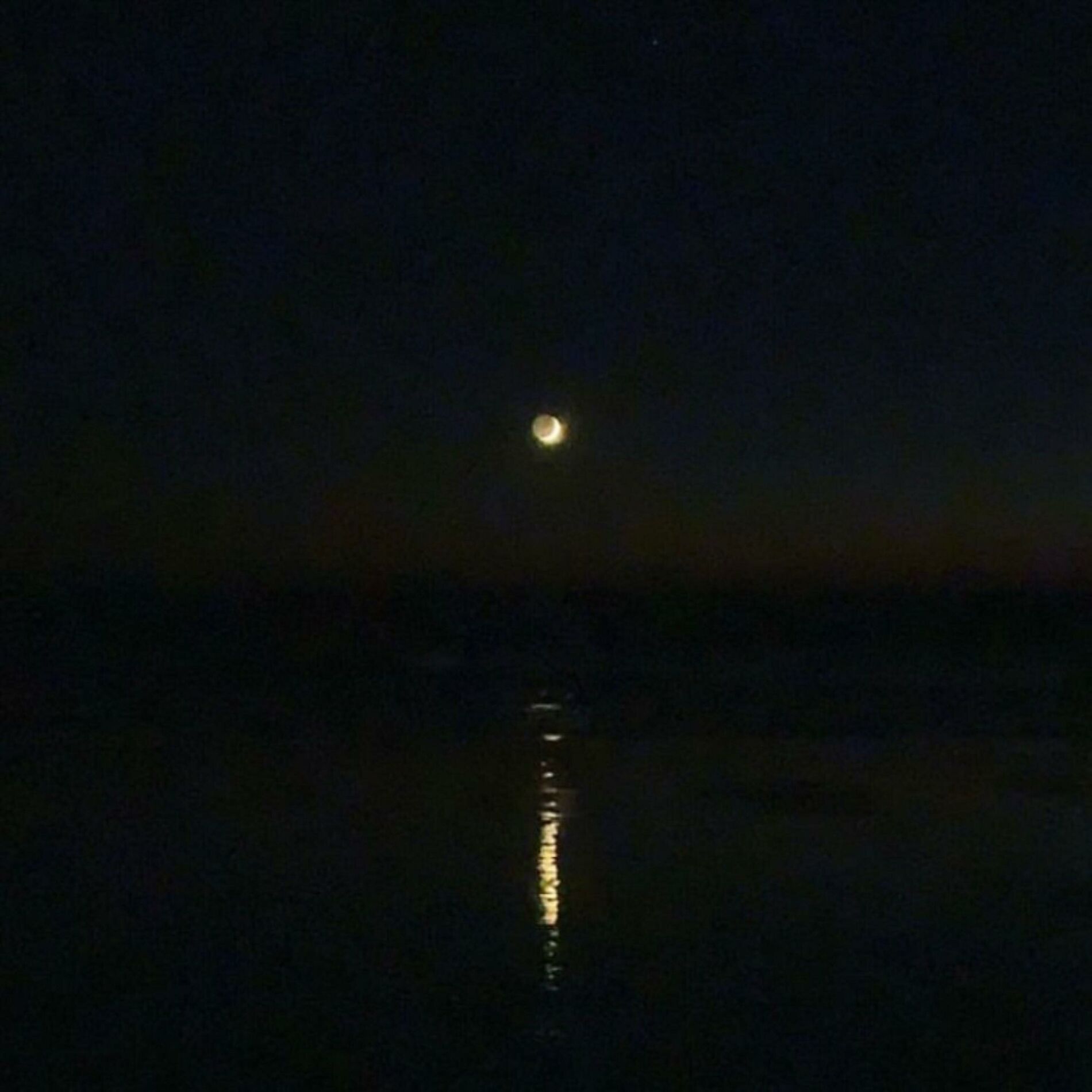 Album cover of Nocturne