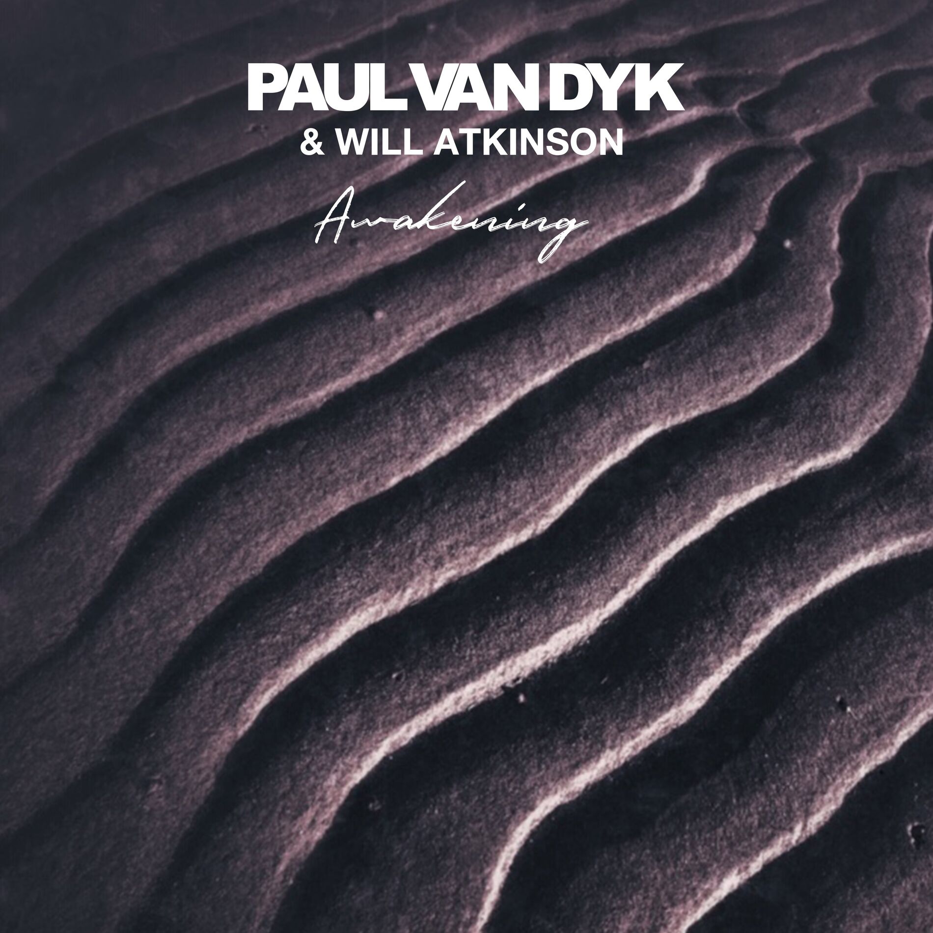 Album cover of Awakening