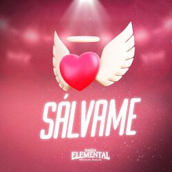 Cover of Sálvame (En Vivo)
